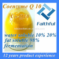 Coenzyme Q10 Powder Supplement